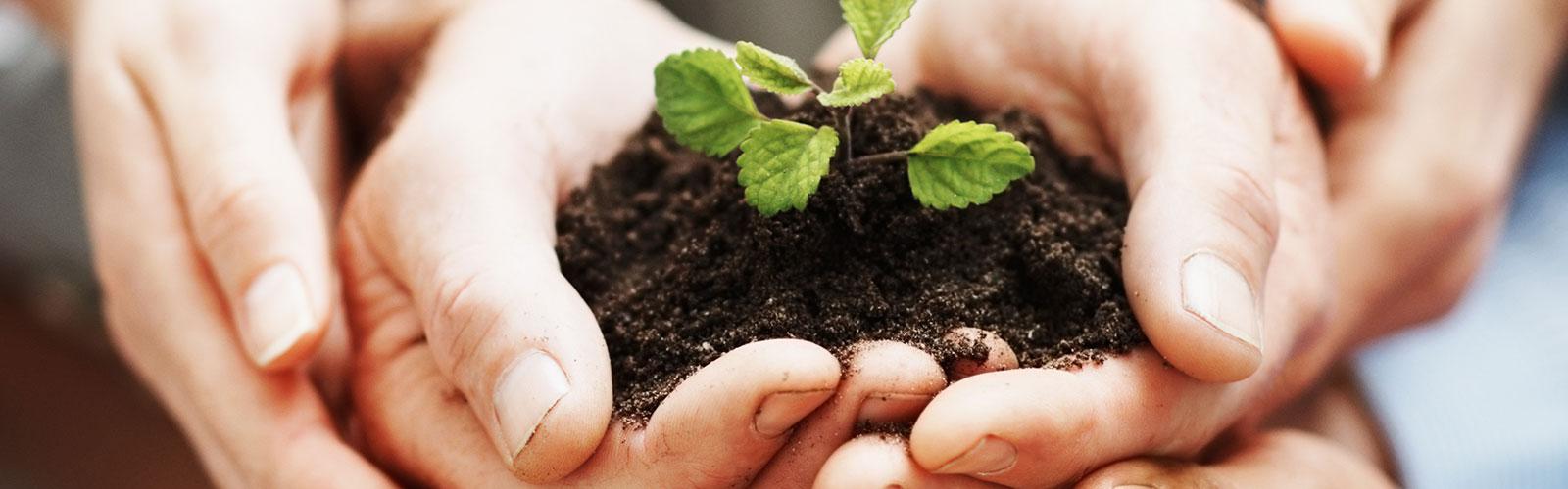Development Solutions Development Solutions