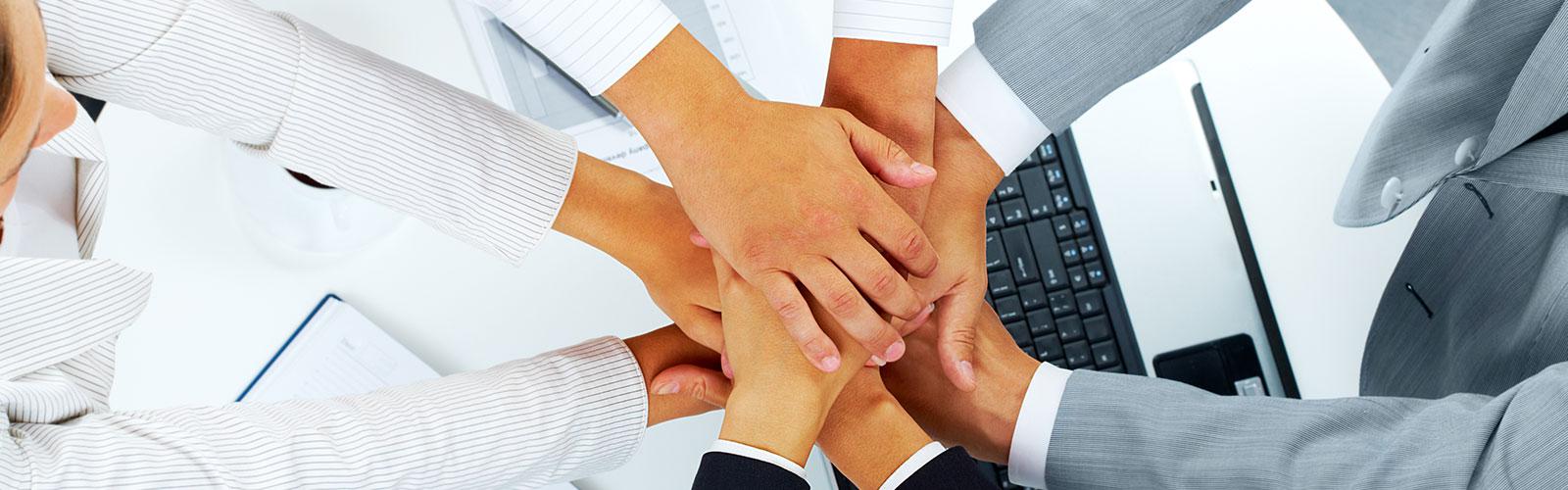 Joint Ventures & Strategic Alliances Joint Ventures & Strategic Alliances