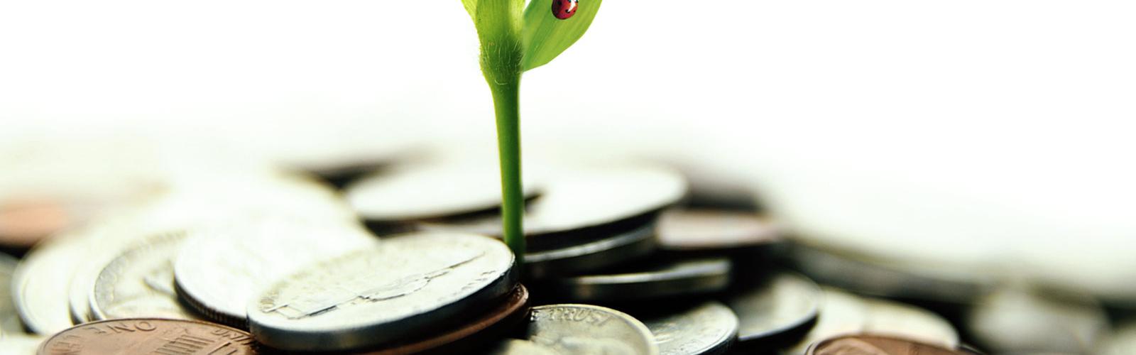 Investment Services Investment Services