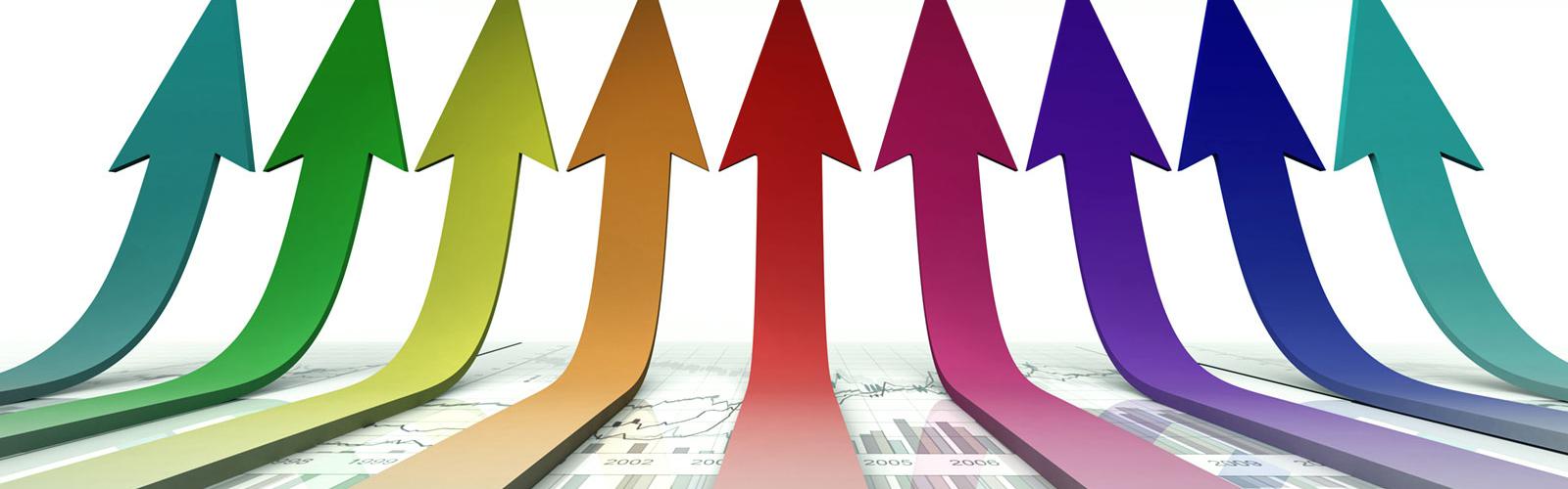 Sales & Marketing Support Sales & Marketing Support