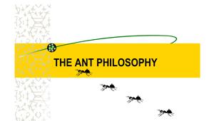 The Ant Philosophy The Ant Philosophy